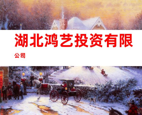 湖北鸿艺投资有限公司